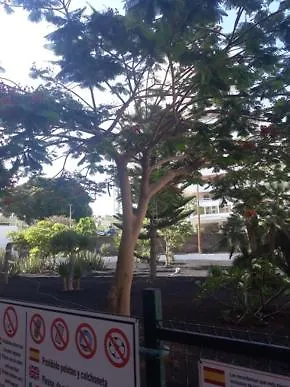 Ocean View, Wifi Free, Playa Americas Holiday home Costa Adeje (Tenerife)